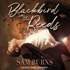 Blackbird_in_the_Reeds