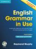 English_grammar_in_use_with_answers