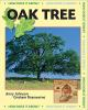 Oak_tree