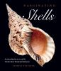 Fascinating_shells