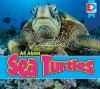 All_about_sea_turtles