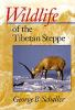 Wildlife_of_the_Tibetan_steppe