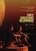 Dry_ground_burning