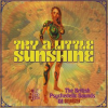 Try_A_Little_Sunshine__The_British_Psychedelic_Sounds_Of_1969_