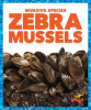 Zebra_Mussels
