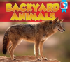 Backyard_Animals