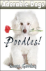 Adorable_Dogs__Poodles