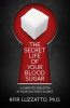 The_Secret_Life_of_Your_Blood_Sugar__A_Diabetes_Skeleton_in_Your_Doctor_s_Closet
