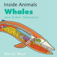 Whales_and_other_mammals