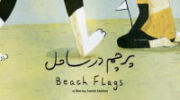 Beach_Flags