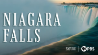 Niagara_Falls
