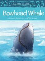 Bowhead_whale